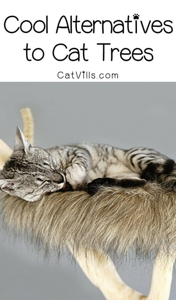 Don&rsquo;t love the look of store-bought cat condos? Check out these 5 incredibly cool alternative cat trees!