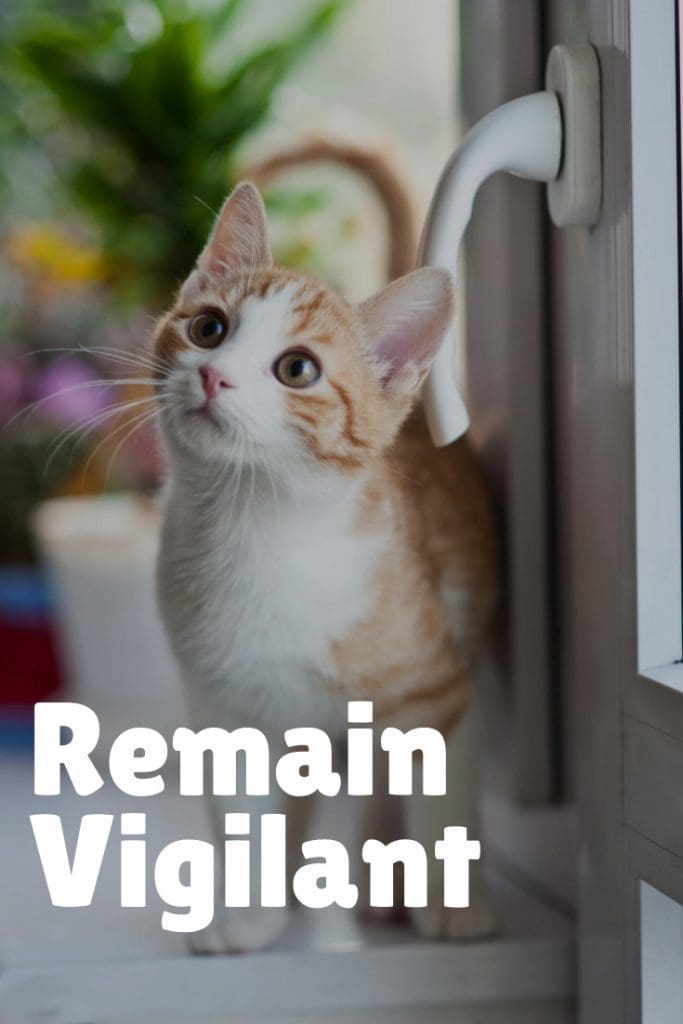 Remain Vigilant