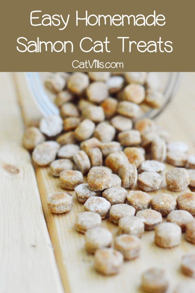 Homemade Salmon Cat Treats Recipe: Flavors of Love 5 Want to try your hand at making your own kitty treats? Start with this easy homemade salmon cat treats recipe! Check it out!