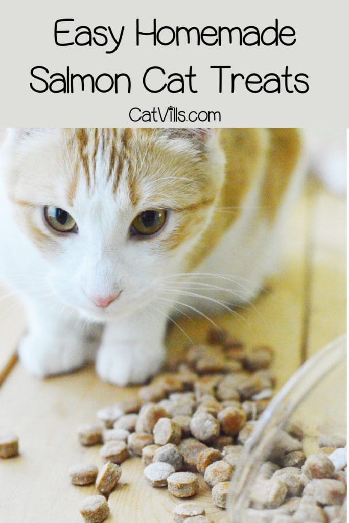 Homemade Salmon Cat Treats Recipe: Flavors of Love 4 Want to try your hand at making your own kitty treats? Start with this easy homemade salmon cat treats recipe! Check it out!