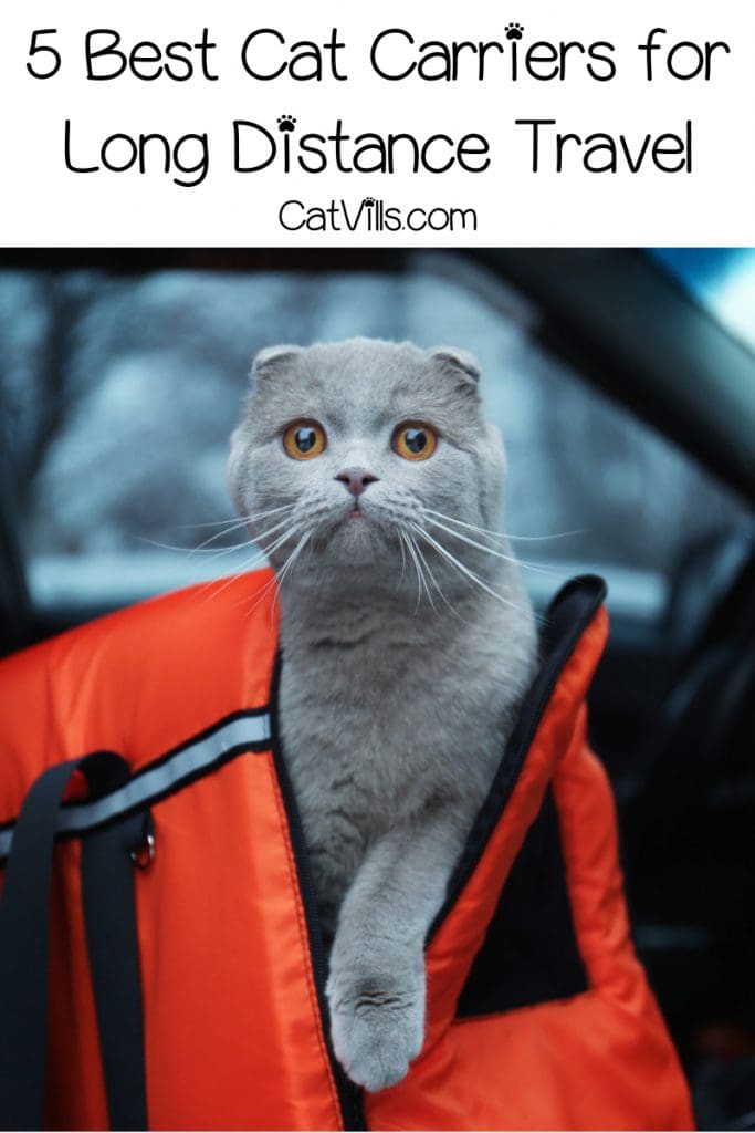 5 Best Cat Carriers for Stress-Free Travel: Safe and Secure 8 5 Best Cat Carriers for Stress-Free Travel: Safe and Secure
