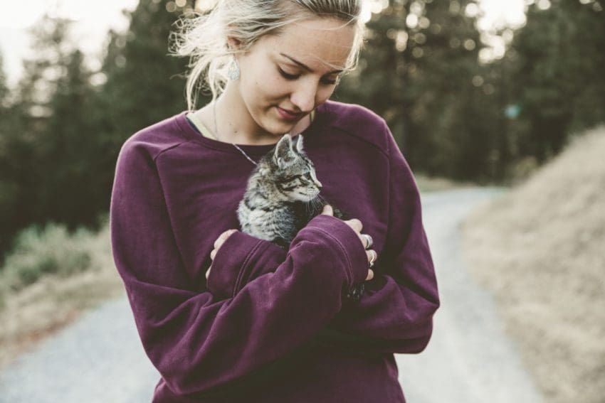 How to Show Your Cat You Love Them: 10 Amazing Ways 1 How to Show Your Cat You Love Them: 9 Amazing Ways