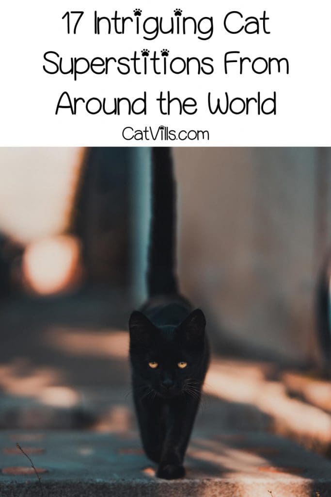 17 Cat Superstitions: Navigating the World of Cat Beliefs 5 This list of cat superstitions around the world proves that cats really do have a long history. Loved or hated, they were a part of it!