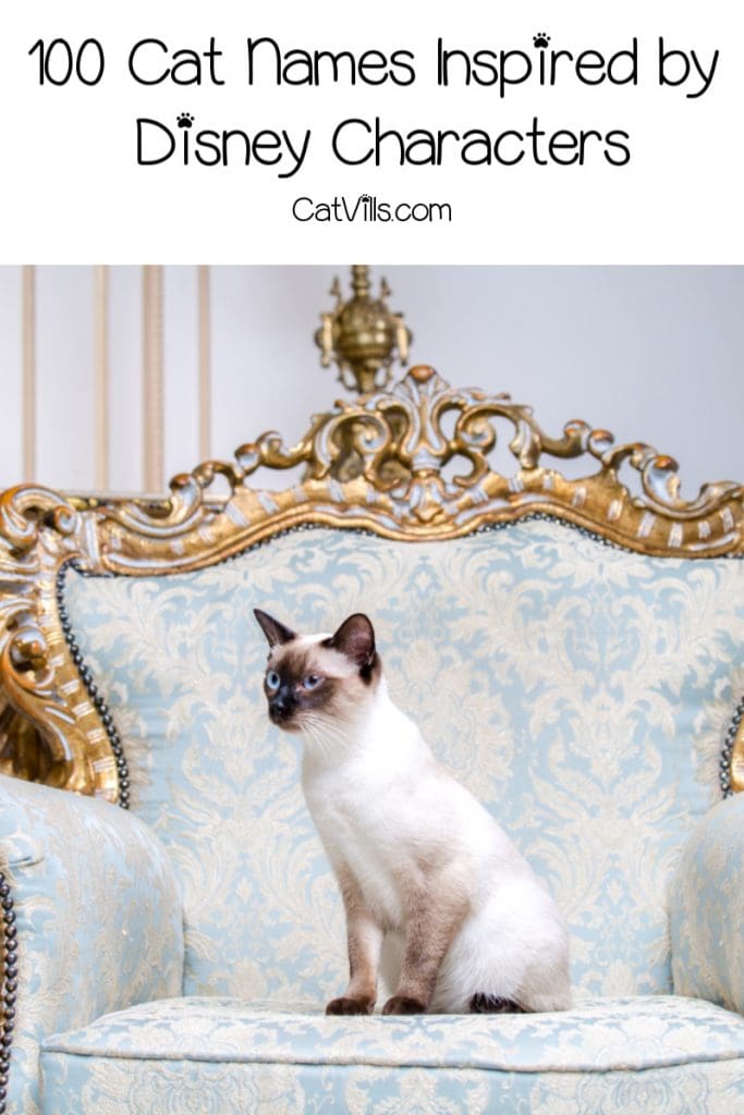 Disney inspired cat names p