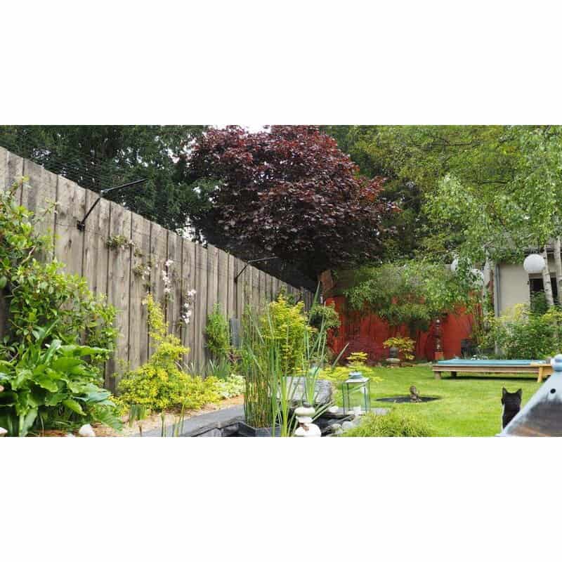 7 Outdoor Cat Containment Ideas That You Can Buy or Make 2 purrfect fence reviews