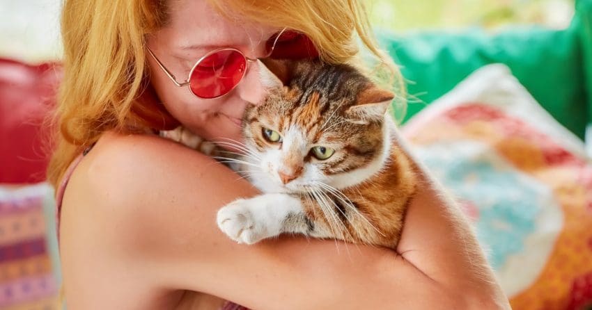 These 100 hippie cat names are just perfect for your new furry flower child. We found 50 each for male and female kittens. Check them out!