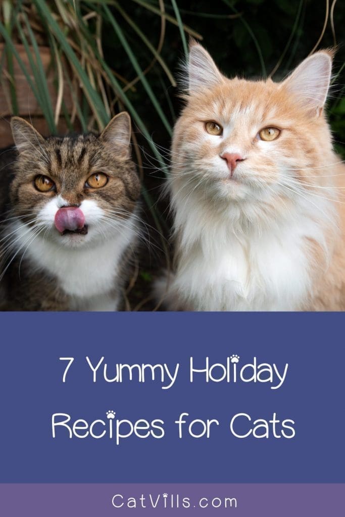 7 Cat Treat Recipes: Show Limitless Love to Your Feline Friend 6 Looking for some great cat Thanksgiving and Christmas cat treat recipes? We’ve got you covered! Check out 7 ideas that are perfect for the holidays (or any other time of the year)!