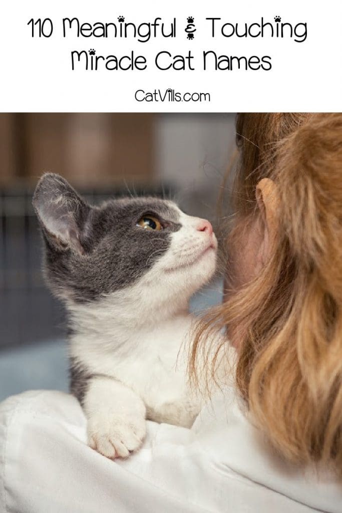 If miracle cat names is what you're looking for, then this is the place to be! We have 110 ideas for your new feline friend. Take a look!