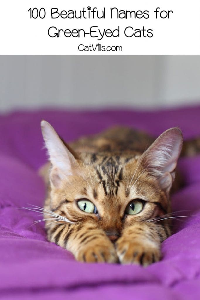 Brown tiger cat with green eyes and text that refers to green-eyed cat names. 