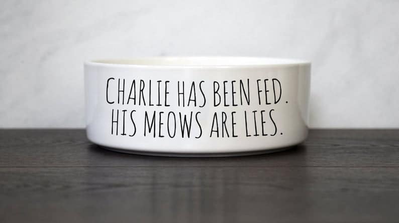 Funny Cat Food Bowl Ceramic Pet Bowl