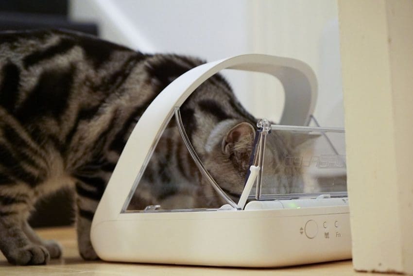 SureFlap Automatic Cat Feeder