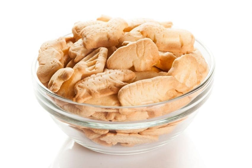 a bowl full of animal crackers: can cats eat animal crackers?