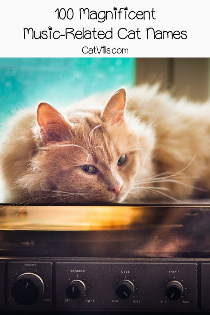 Orange cat laying on top of a record player with text : 100 magnificent music-related cat names. 