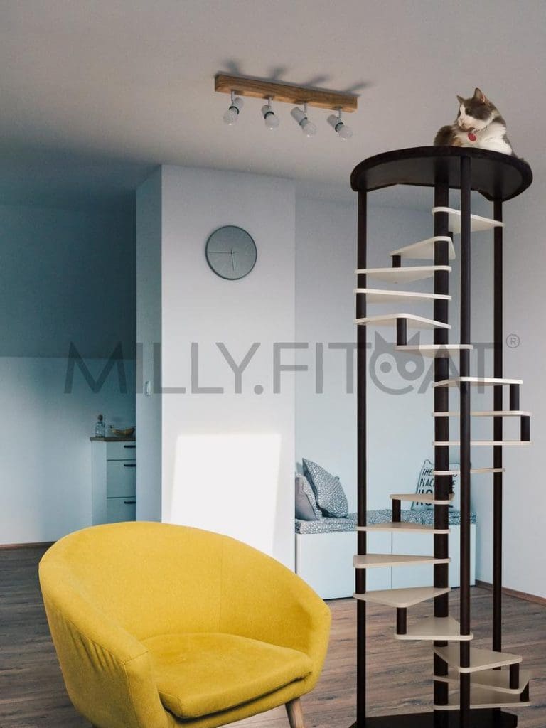 Best Cat Trees To Elevate Your Cat's Playtime And Enjoyment 2 Cat Tree