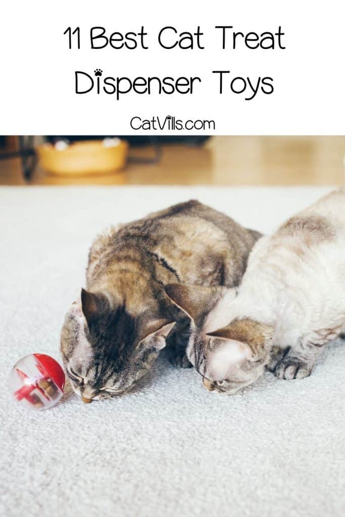11 Best Cat Treat Dispenser Toys (Top Picks & Review) 25 two kittens playing with the cat treat dispenser toy