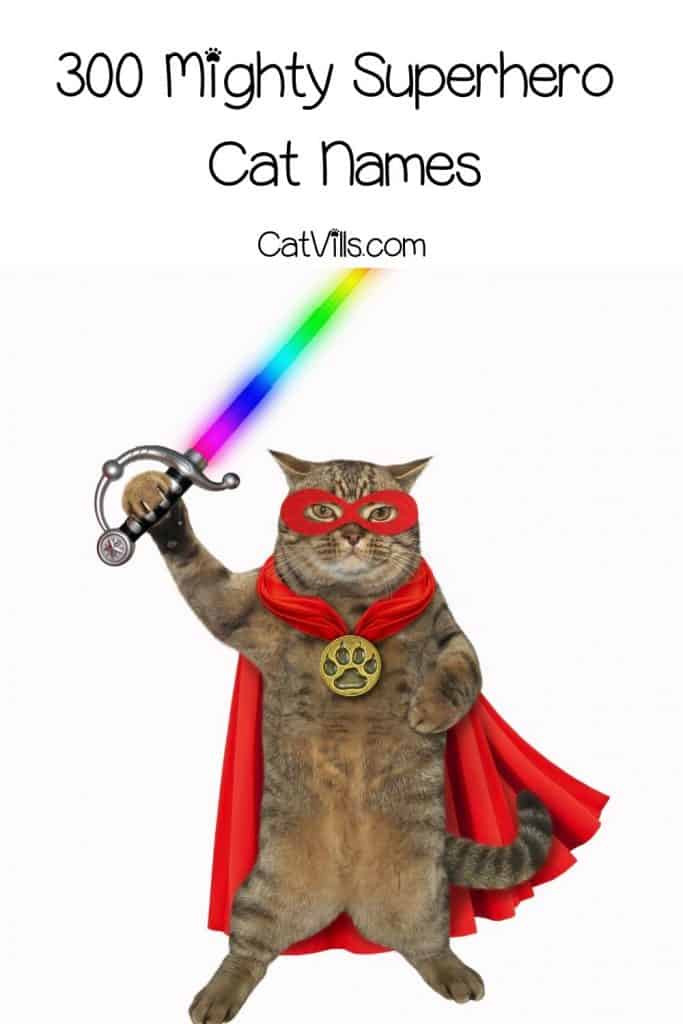 a superhero cat