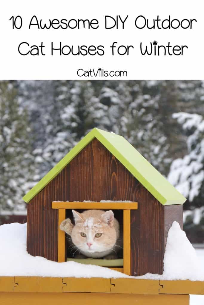 10 DIY Outdoor Cat House Ideas: Affordable and Fun Cat Shelter 12 cat cozy inside the outdoor cat house for winter