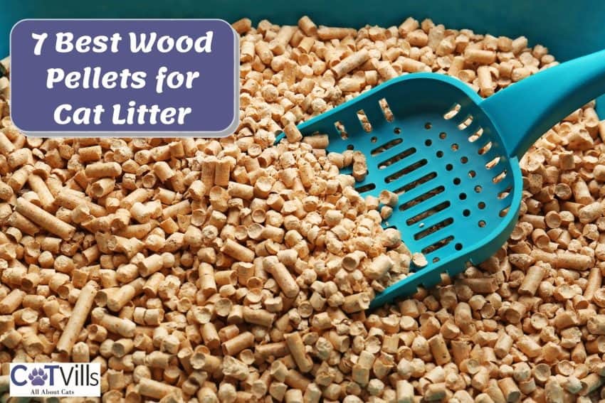 Wood pellets for cat litter with a blue scooper