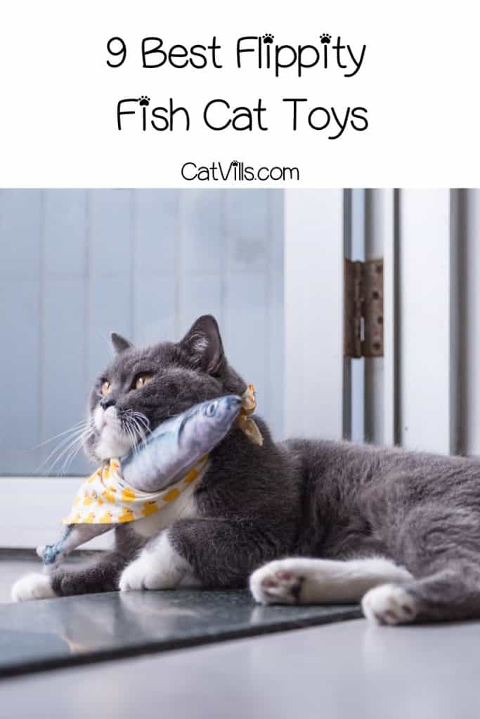 7 Best Floppy Fish Cat Toys for Your Feline Friend 3 cat playing with the flippity fish cat toy