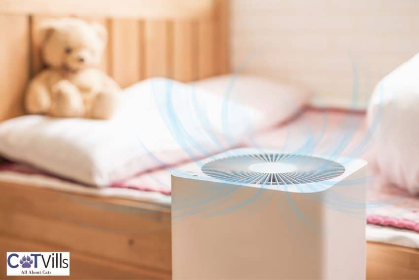 Are Russian Blue Cats Hypoallergenic? Unveiling the Truth 5 air purifier in the bedroom