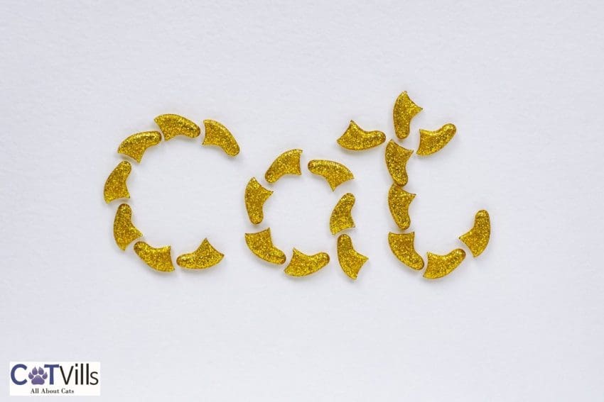 cat nail caps forming the word "cat"