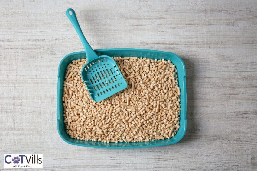 Clumping vs Non-clumping Litter: Which is Best for Your Cat? 4 cat litter box with pellets