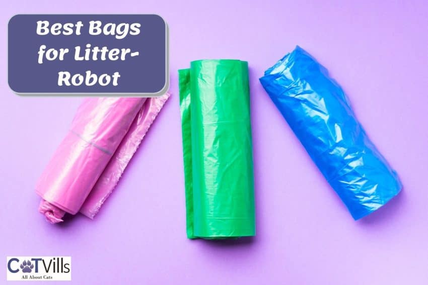 the best bags for litter-robot with a purple background