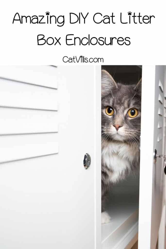 12 Amazing DIY Cat Litter Box Enclosures for Your Kitty! 13 cat inside the DIY Cat Litter Box cabinet