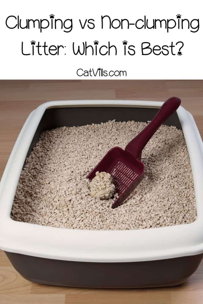 Clumping vs Non-clumping Litter: Which is Best for Your Cat? 6 scooping cat litter from the litter box
