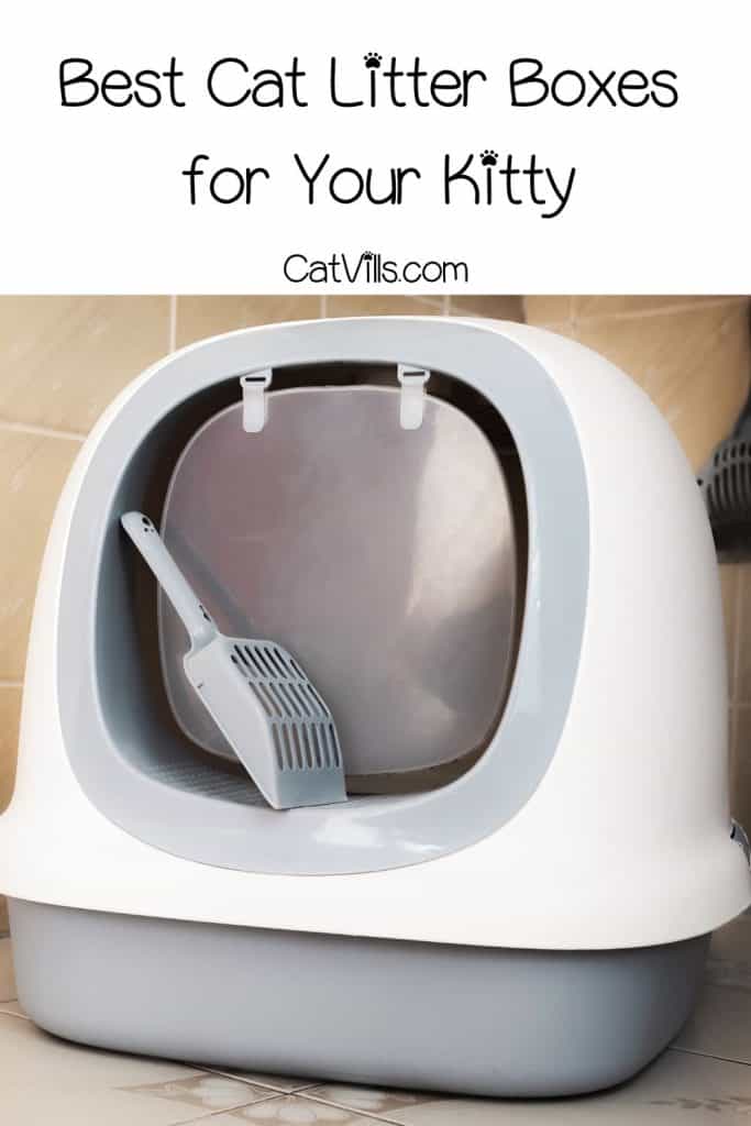 high side litter box for cat