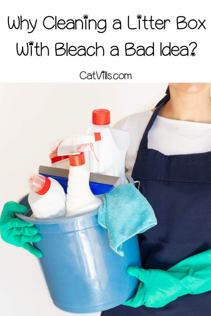 lady carrying bucket with bleaches