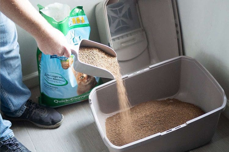 Fresh natural cat litter