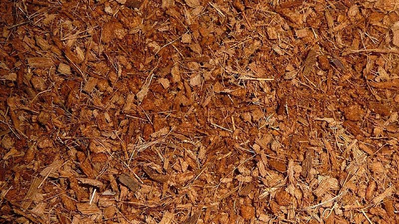 coconut husk made cat litter