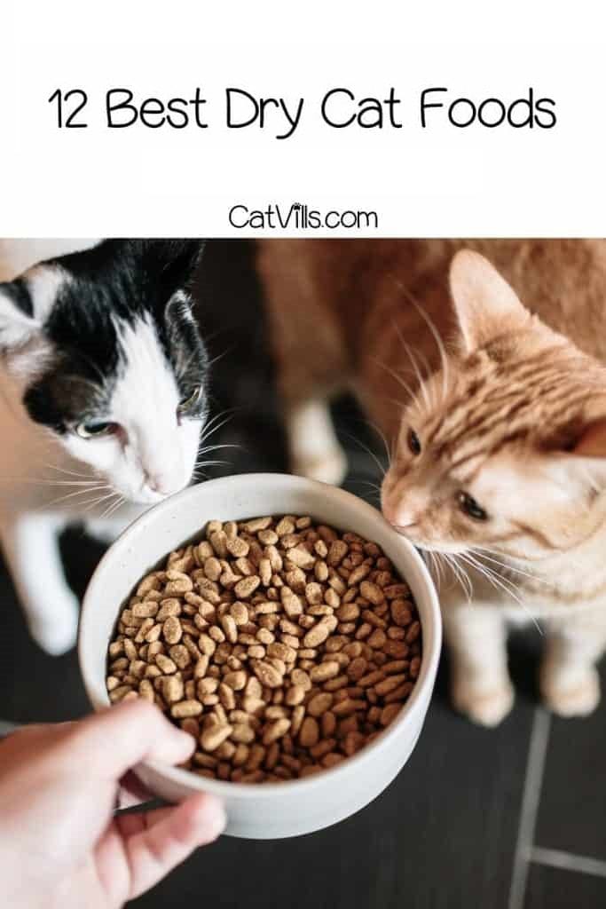 12 Best Dry Cat Foods for Your Kitties (Honest Review)