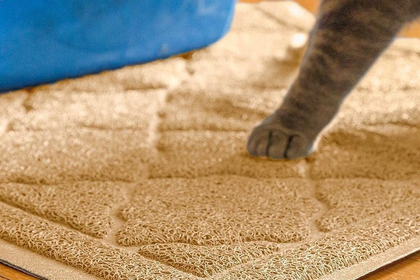 5 Best Cat Litter Mats That Will Help Keep Your House Mess-Free
