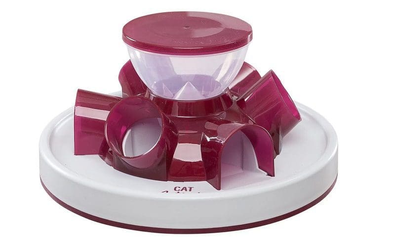 7 Best Slow Feeder Cat Bowls for Healthy and Balanced Eating 10 best slow feeder cat bowl
