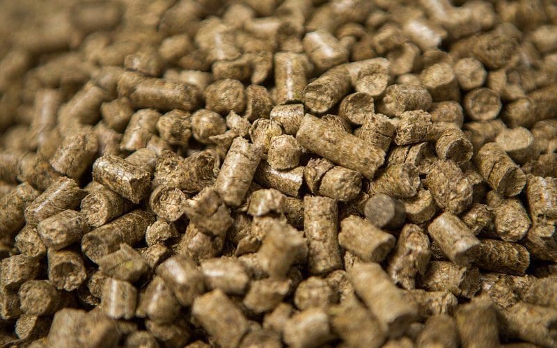 How Much Does Cat Litter Cost? A Complete Guide 6 horse bedding pellets as cat litter