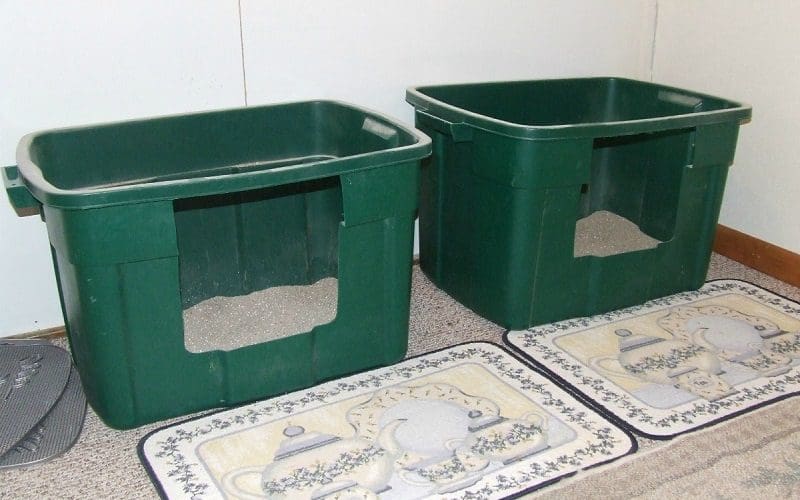 Setting Up Your Multi-Cat Household: A Complete Guide 7 multiple litter boxes in house