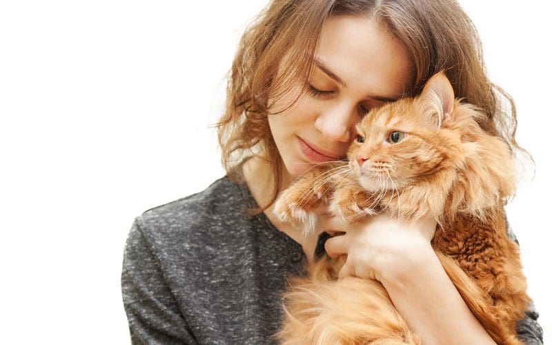 cat with a patient owner