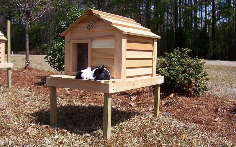 10 DIY Outdoor Cat House Ideas: Affordable and Fun Cat Shelter 10 basic insulated DIY cat house