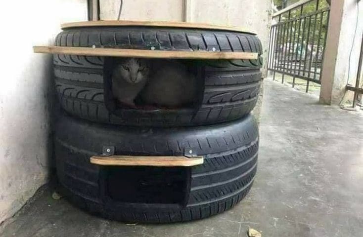 10 DIY Outdoor Cat House Ideas: Affordable and Fun Cat Shelter 2 DIY outdoor cat shelter using tires