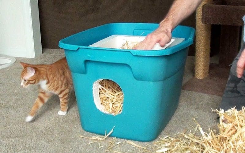 10 DIY Outdoor Cat House Ideas: Affordable and Fun Cat Shelter 4 Tote DIY shelter for cats
