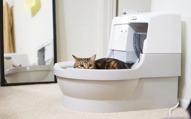 self-cleaning litter box