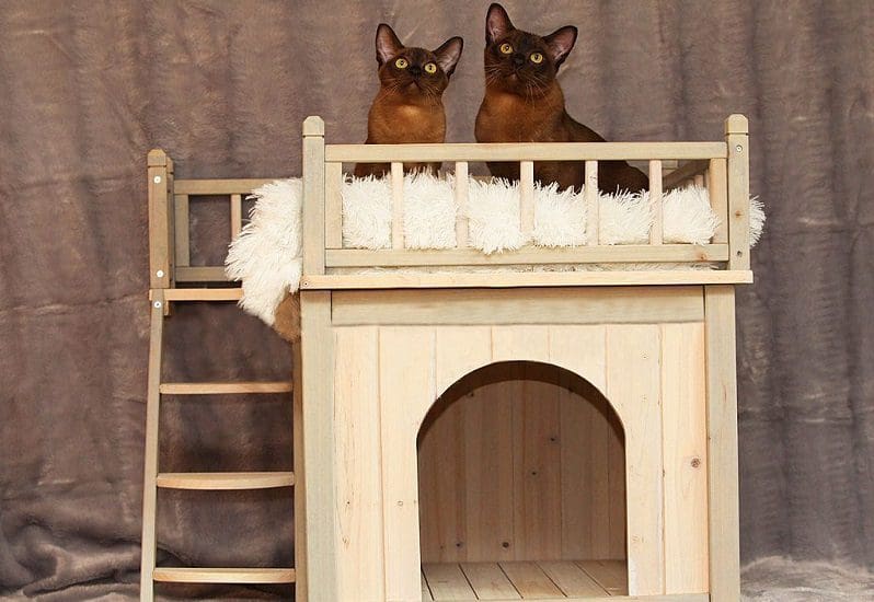 10 DIY Outdoor Cat House Ideas: Affordable and Fun Cat Shelter 11 doll house for cats