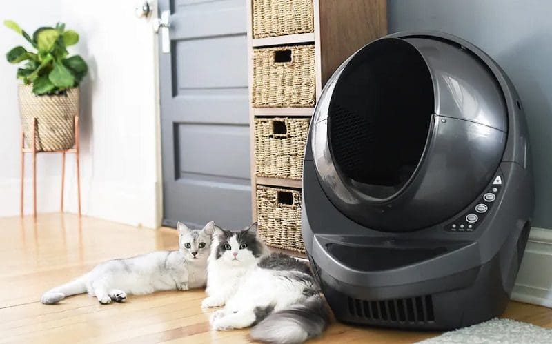 10 Best Automatic Self-Cleaning Litter Boxes for Happy Cat 13 two cats sitting next to a litter box