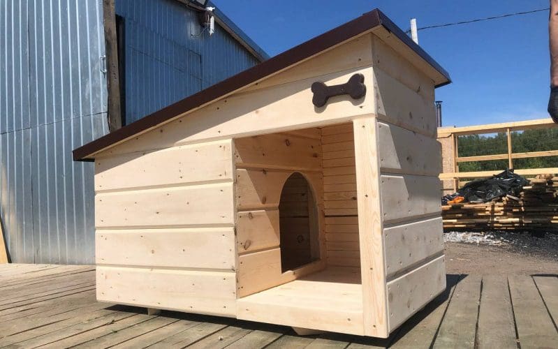 10 DIY Outdoor Cat House Ideas: Affordable and Fun Cat Shelter 3 outdoor cat house for winter