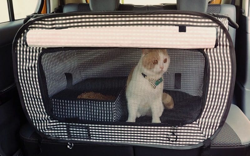 best travel litter box for cats