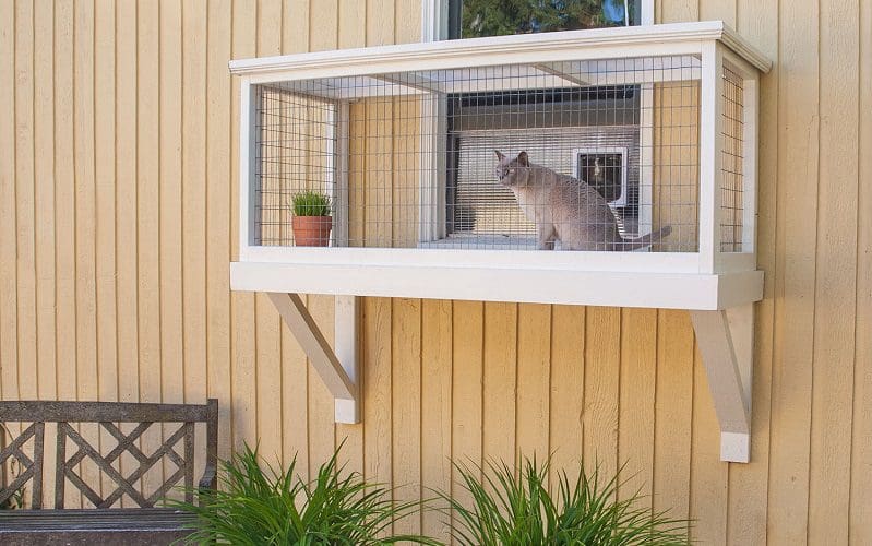 11 Best Cats for Apartments: Find The Ideal Apartment Cats 13 easy window box for cats