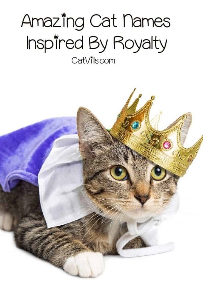 100+ Regal Cat Names for Your Royal Companion 4 100+ Regal Cat Names for Your Royal Companion