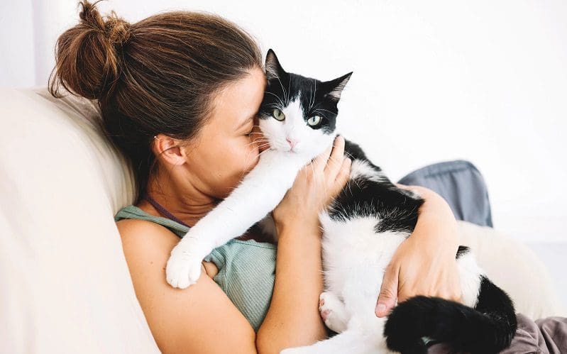 cat cuddling with human